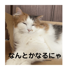 haruka_20250928234618