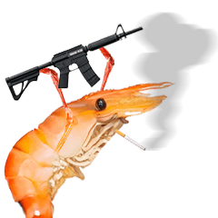 クールなエビ！V.3