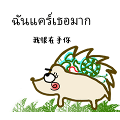 Zentangle Healing Hedgehog ปฏิบัติจริง