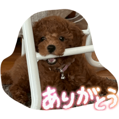 manaca_20250928215442