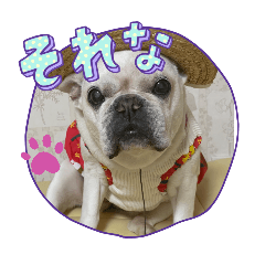 HANA_20250929105712
