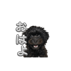 yuina_20250929095457