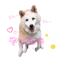 You_20250929105212