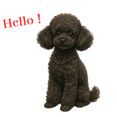 Black Toy Poodle Life Stickers