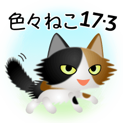 色々な猫17-3 長毛-立ち耳-三毛