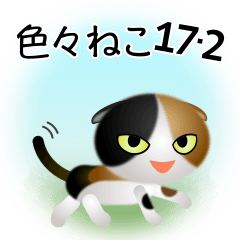 色々な猫17-2 短毛-垂れ耳-三毛