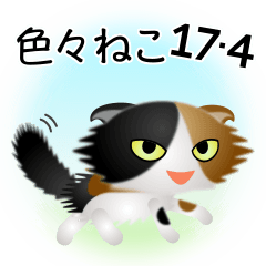 色々な猫17-4 長毛-垂れ耳-三毛