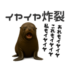 Parenting Sea Lion Stickers Vol 2