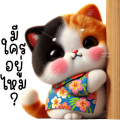 Calico Cat is cheerful every day.