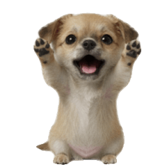 Puchi (Dog)realistic versions