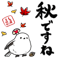 a long-tailed tit with autumna