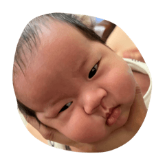 安安第一組貼圖