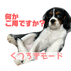 momoki_20250928184537