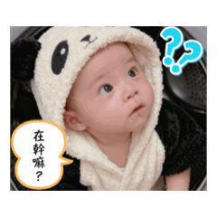 Cute Baby : Wei wei