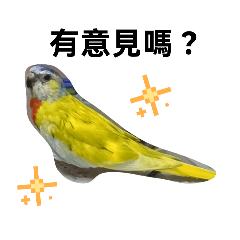 小小綠豆真可愛