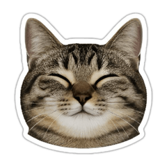 nagisa_20250928201620