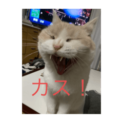 tumugi3_20250928211842