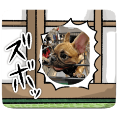 potato_20250928114952