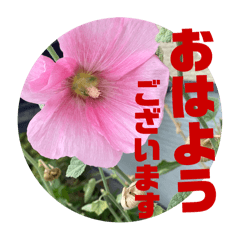 Sunny_20250928184934