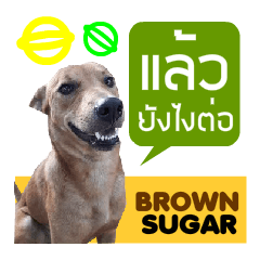 Brown Sugar & Friends