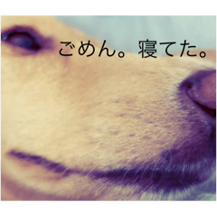 natsu_20250928153703