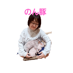 non_20250929