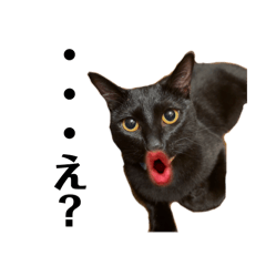 Amity_20250929012046