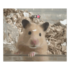 rinka_20250929211007