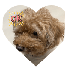 CHIHIRO_20250929130920