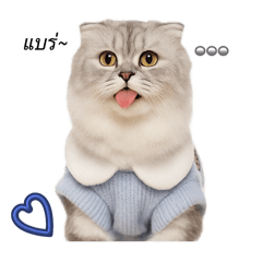 Cream_20250929125540