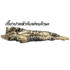 Nungning_20250929124552