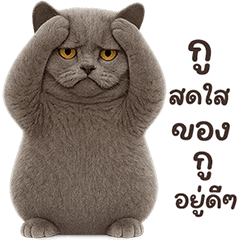 ❤️แมวเทาตัวตึง❤️