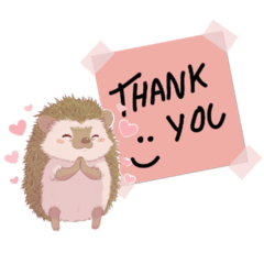 Cute Hedgehog Life Stickers 40