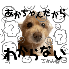 Natsumi_20250929002605