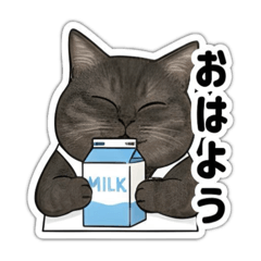 nagisa_20250928231126