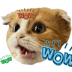 marina_20250929133012