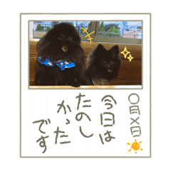 Reenan_20250929134738