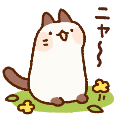 のびのびネコさん2