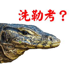 超鳥貼圖 第二彈.