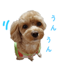 Nanako_20250929144735