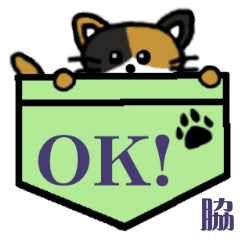 Waki's Pocket Cat's  [42]