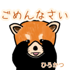 Hirokatsu's lesser panda