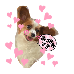 natsumi_20250929195108