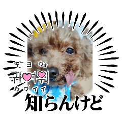 HANA_20250929152741