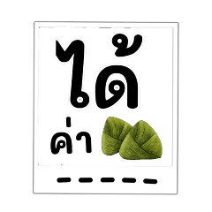 PumPui22_20250929160648