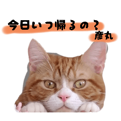 nanana_20250929205803
