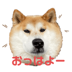 yuka_20250929205932