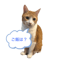 Yashinoki_20250929193236