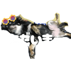 AKANE_20250929212323