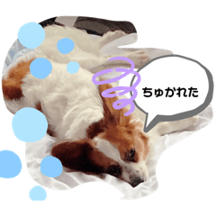 natsumi_20250929212411